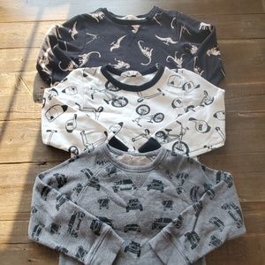 Boy's Sweatshirt Bundle